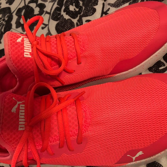 Puma - Picture 3 of 4